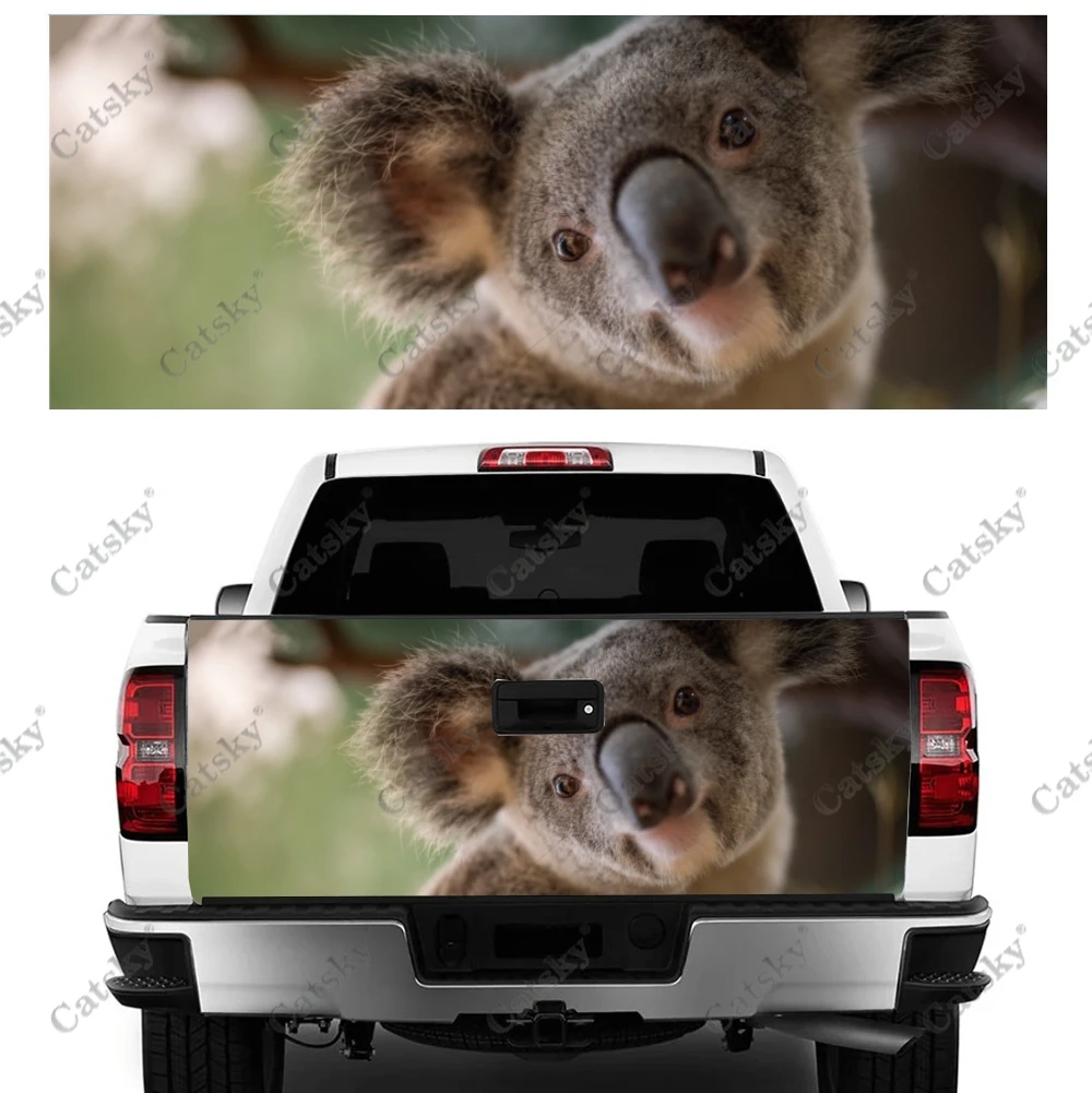 Animal - Koala Caminhão Traseira, Adesivo Decalque Envoltório de Vinil de Alta-Definição, Gráfico de Impressão Adequado para caminhonetes Imagem 1